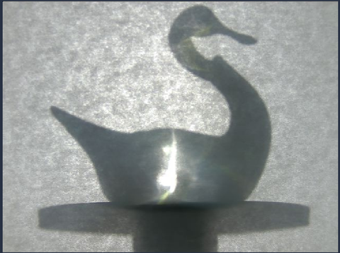 Shadow projection of a glas swan